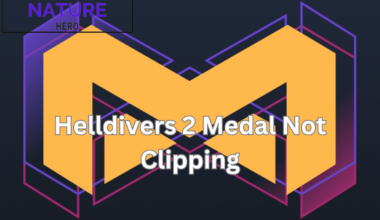 helldivers 2 medal not clipping