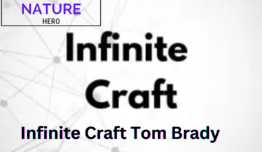 infinite craft tom brady