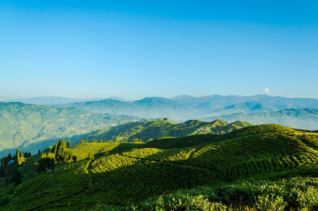 illam visit without doing anything