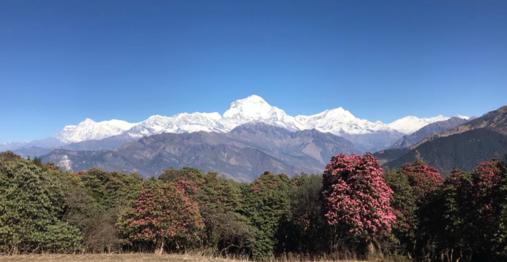 poon hill view point