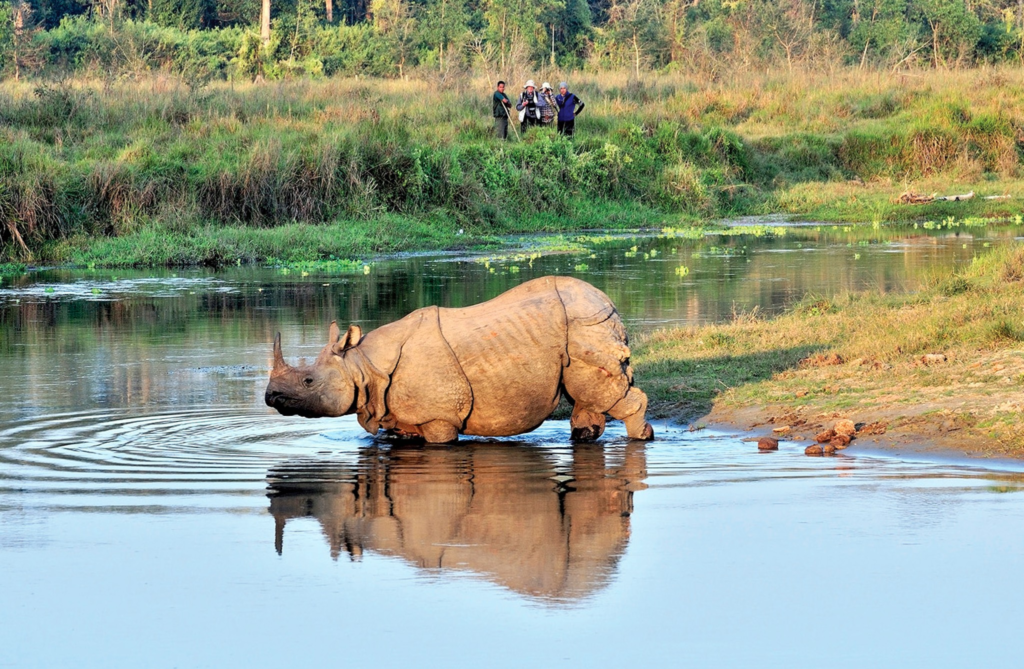 chitwan national park 