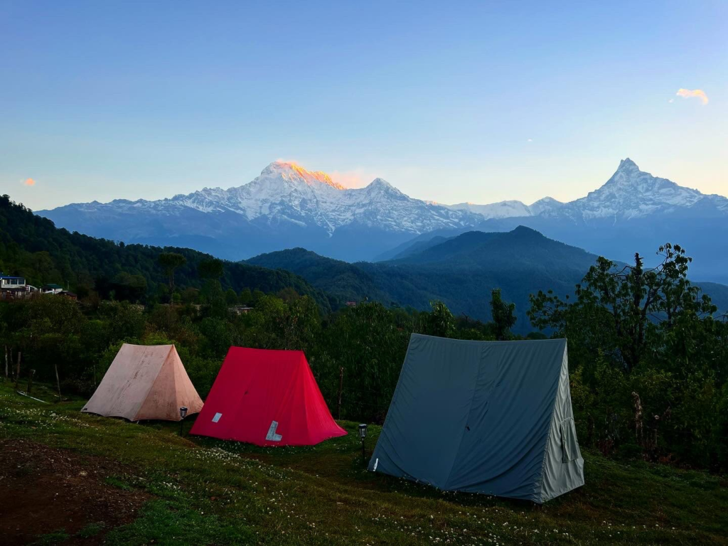 australian base camp mardi