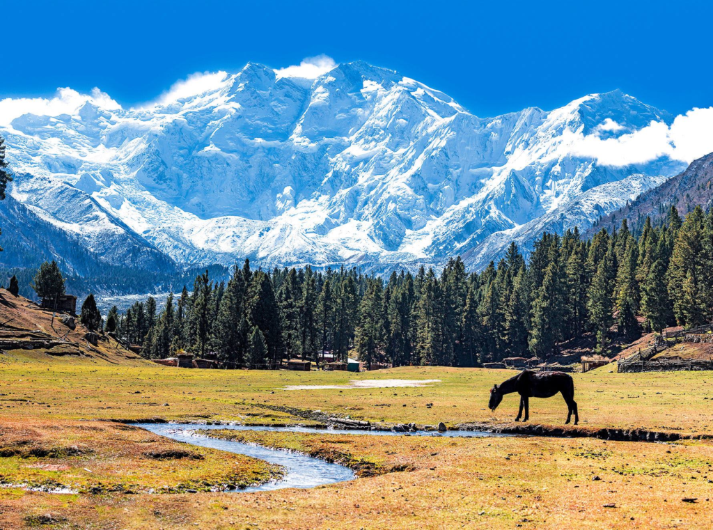 nanga parbat himalayas
