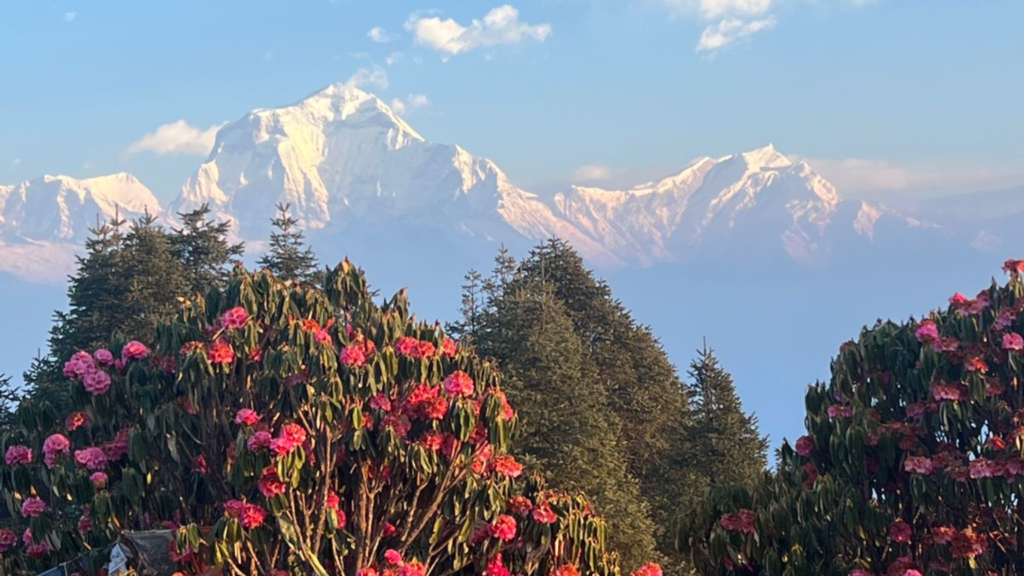 ghorepani poonhill views mountains