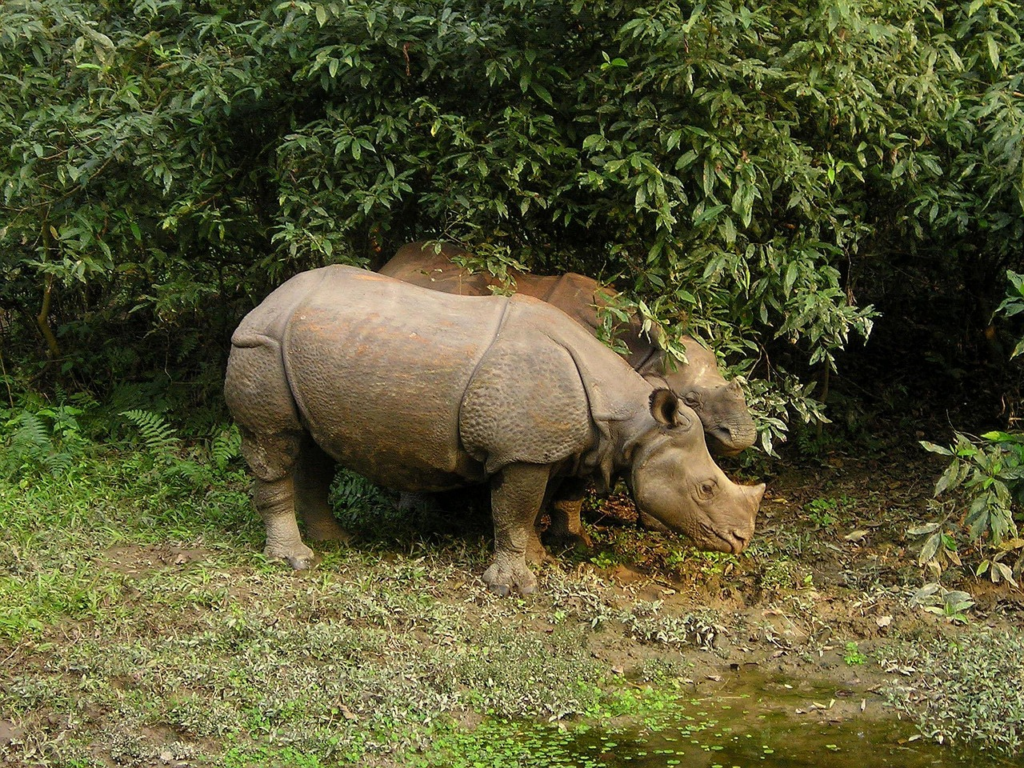 This image has an empty alt attribute; its file name is image-200-1024x768.png